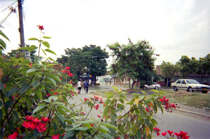 160-5.jpg