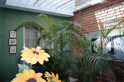 368-4.jpg