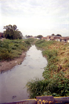 291-13.jpg