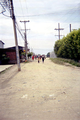 297-1.jpg