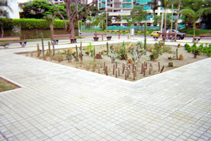225-9.jpg