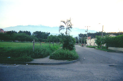 367-4.jpg