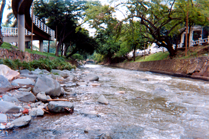 519-8.jpg