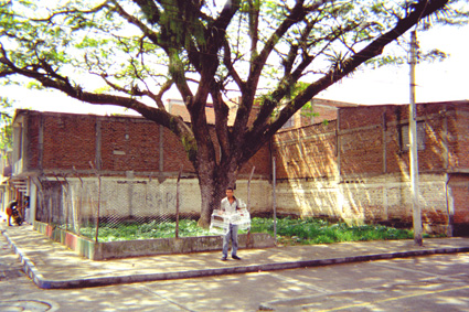 261-18.jpg