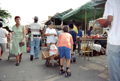 406-23.jpg