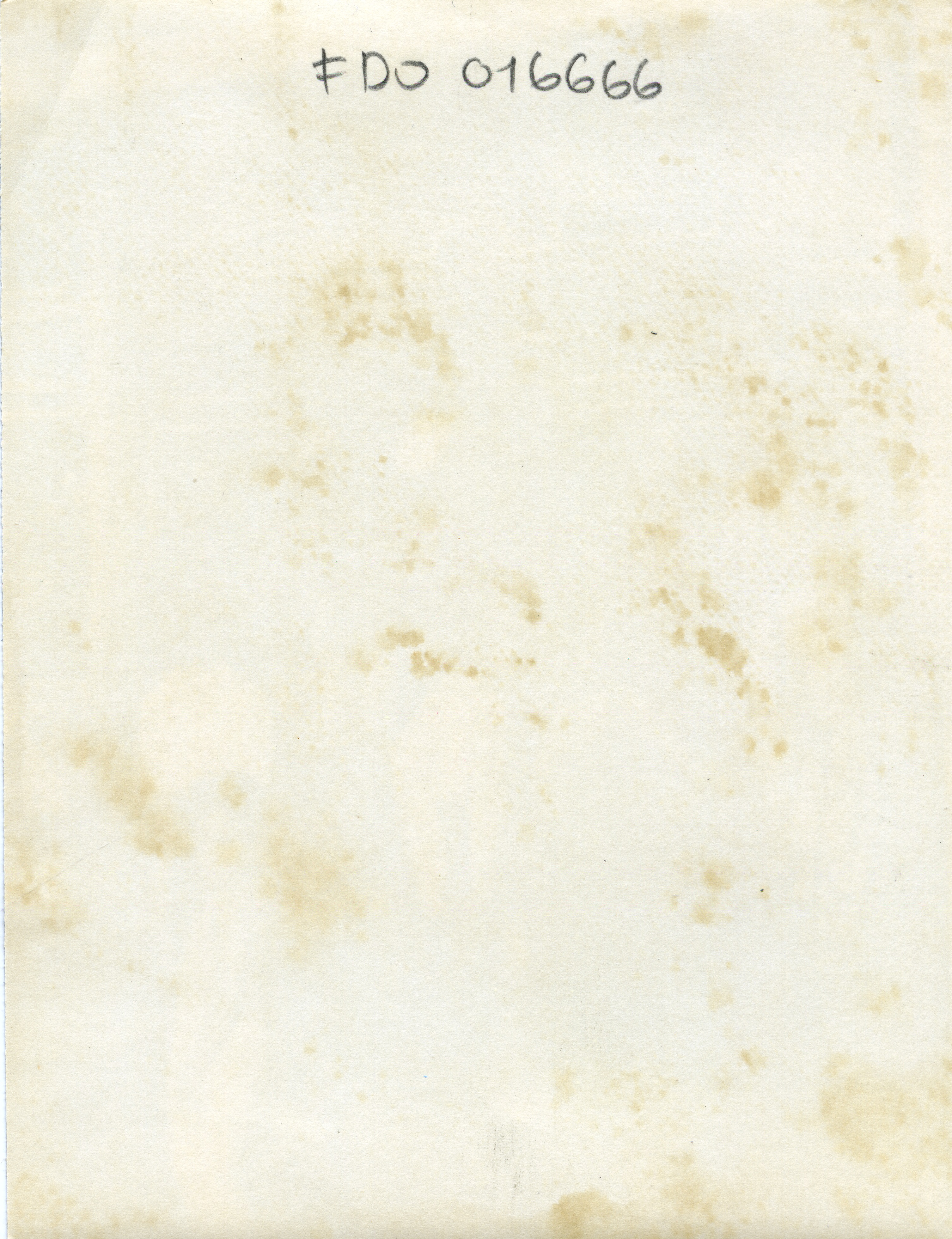 FDO016666A.jpg