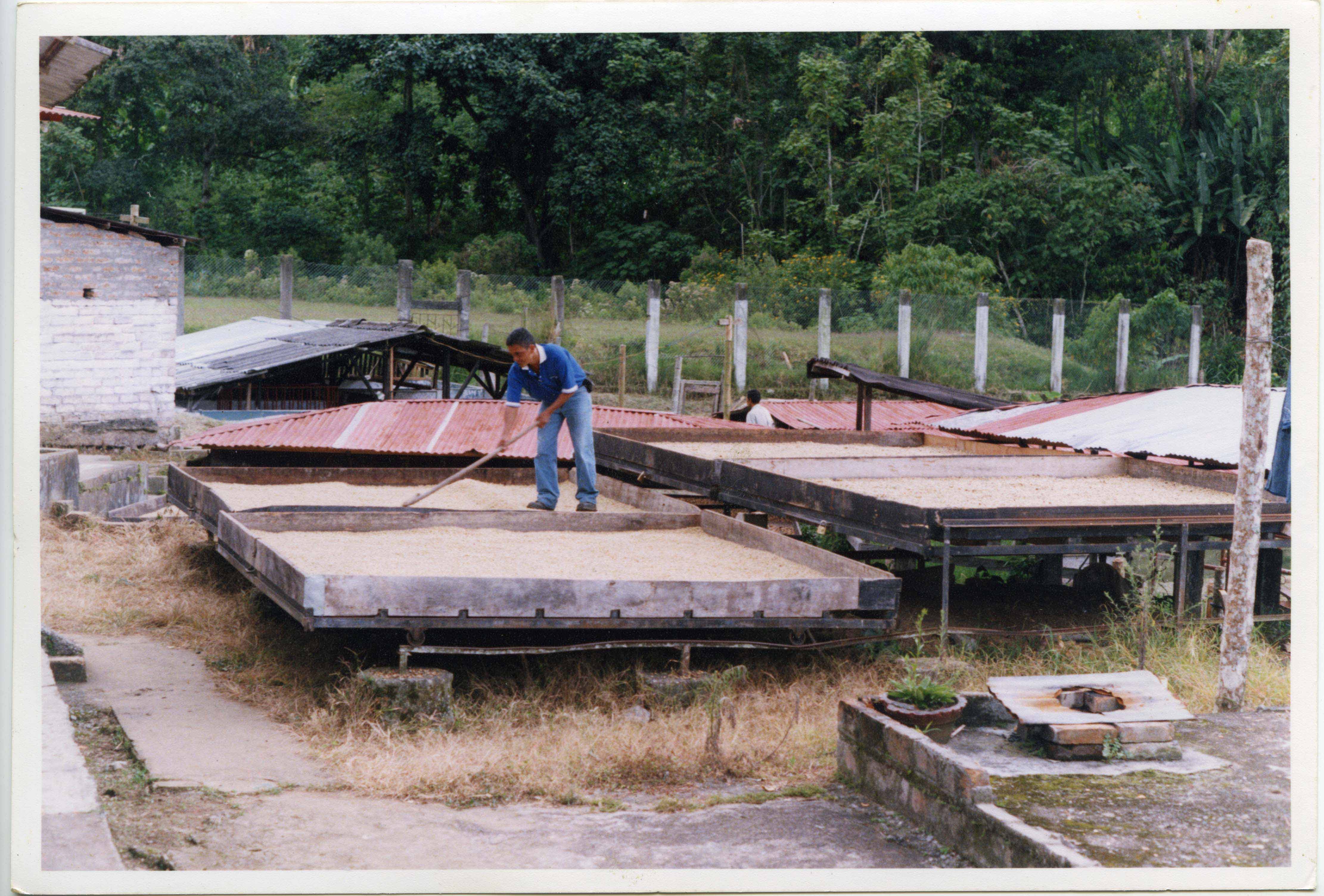 PCCC0579.jpg