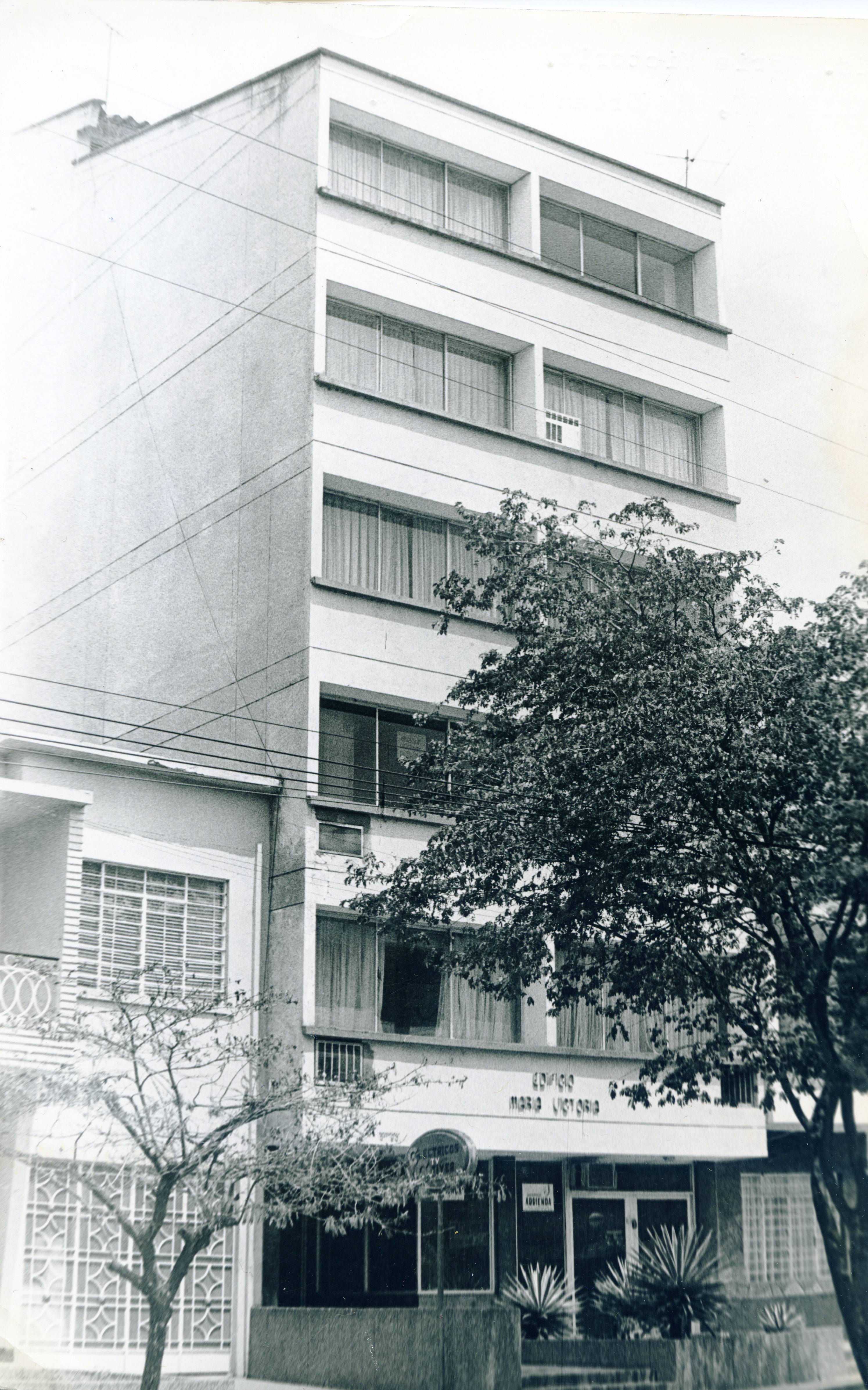 Fdo013534.jpg