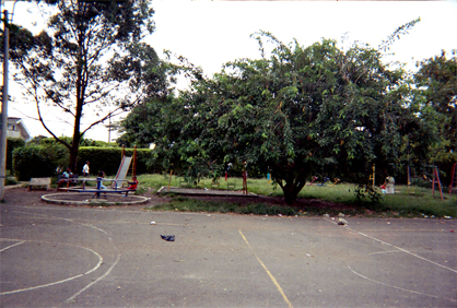 366-29.jpg
