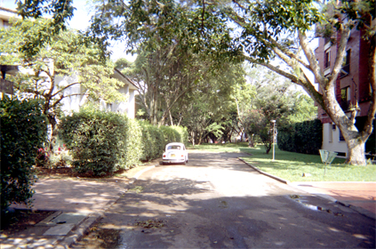 352-4.jpg