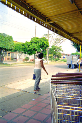 077-0.jpg