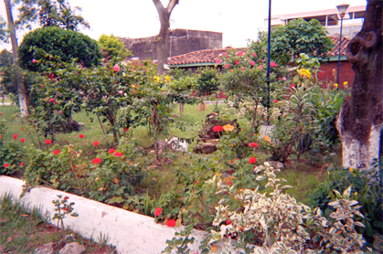 169-5.jpg