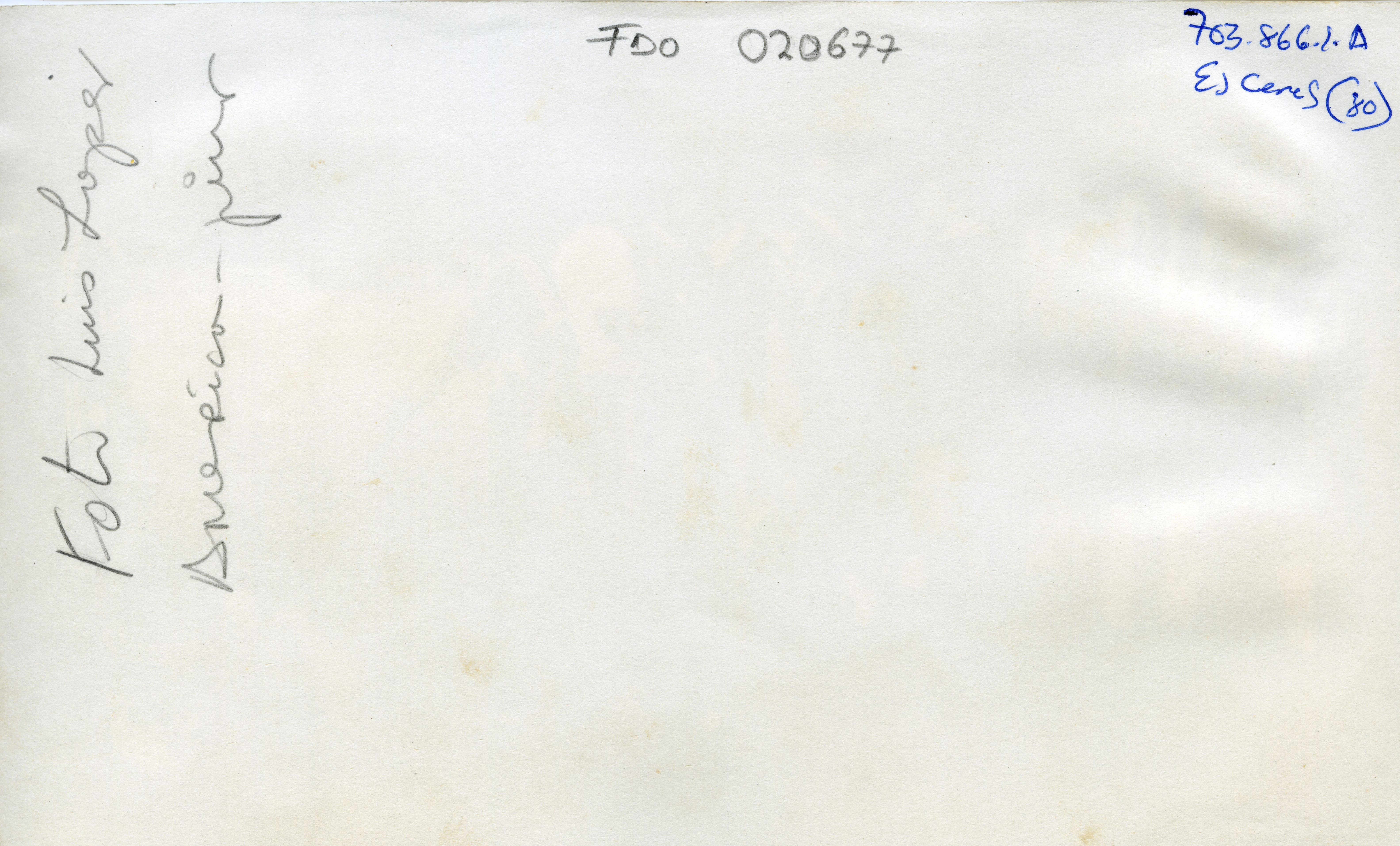 FDO020677A.jpg