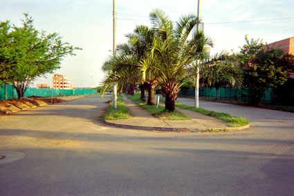367-10.jpg