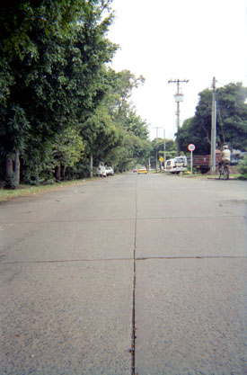 226-21.jpg