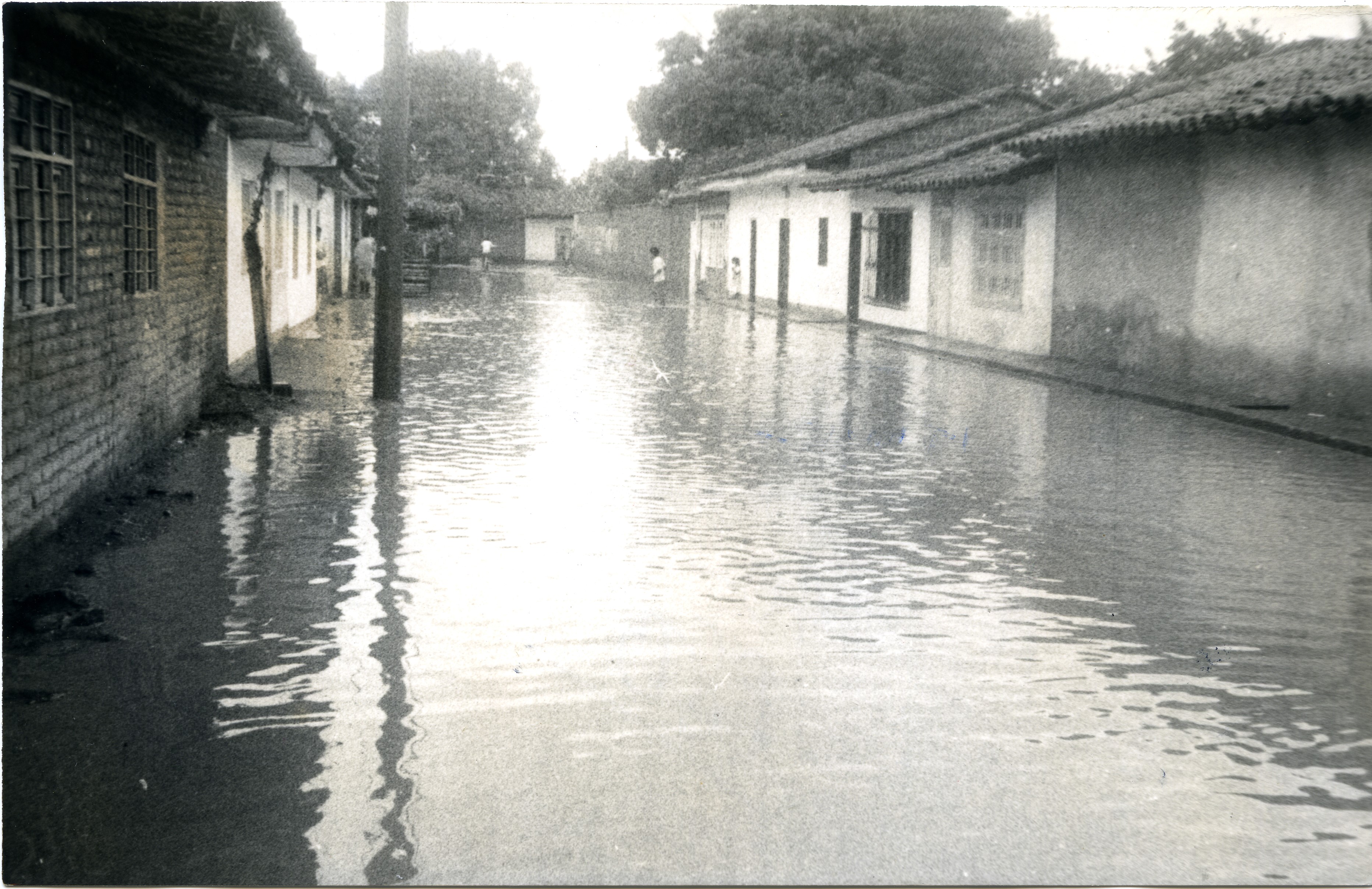 FDO015129.jpg