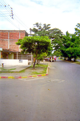 335-0.jpg