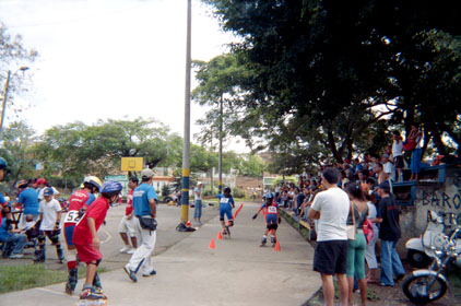 260-6.jpg