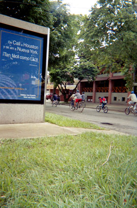 365-22.jpg