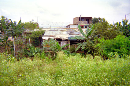 313-7.jpg