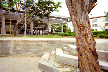225-8.jpg