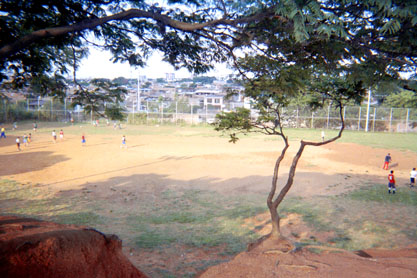 391-28.jpg