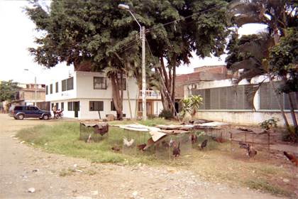 275-10.jpg