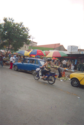 135-15.jpg
