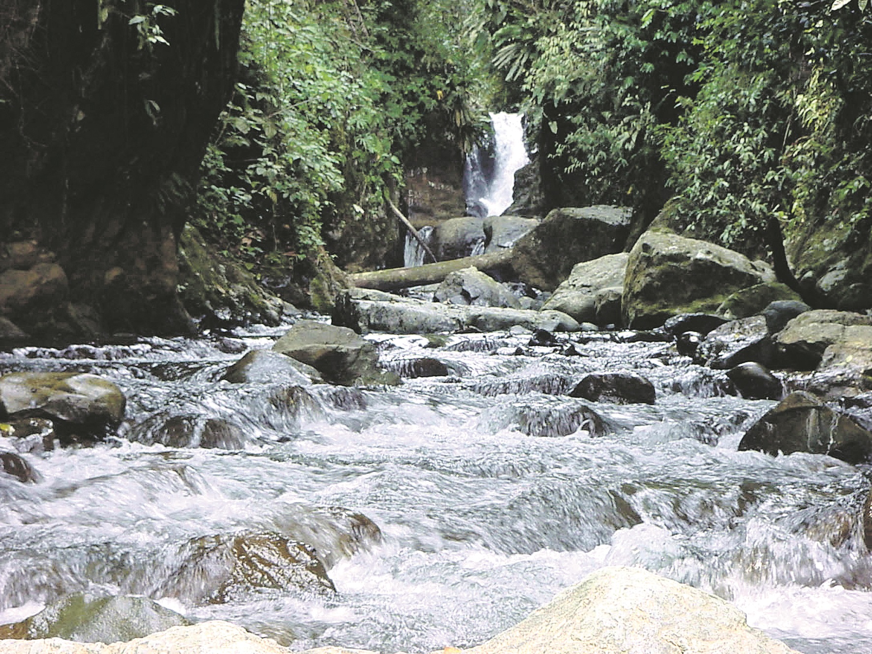 RFV001108.jpg