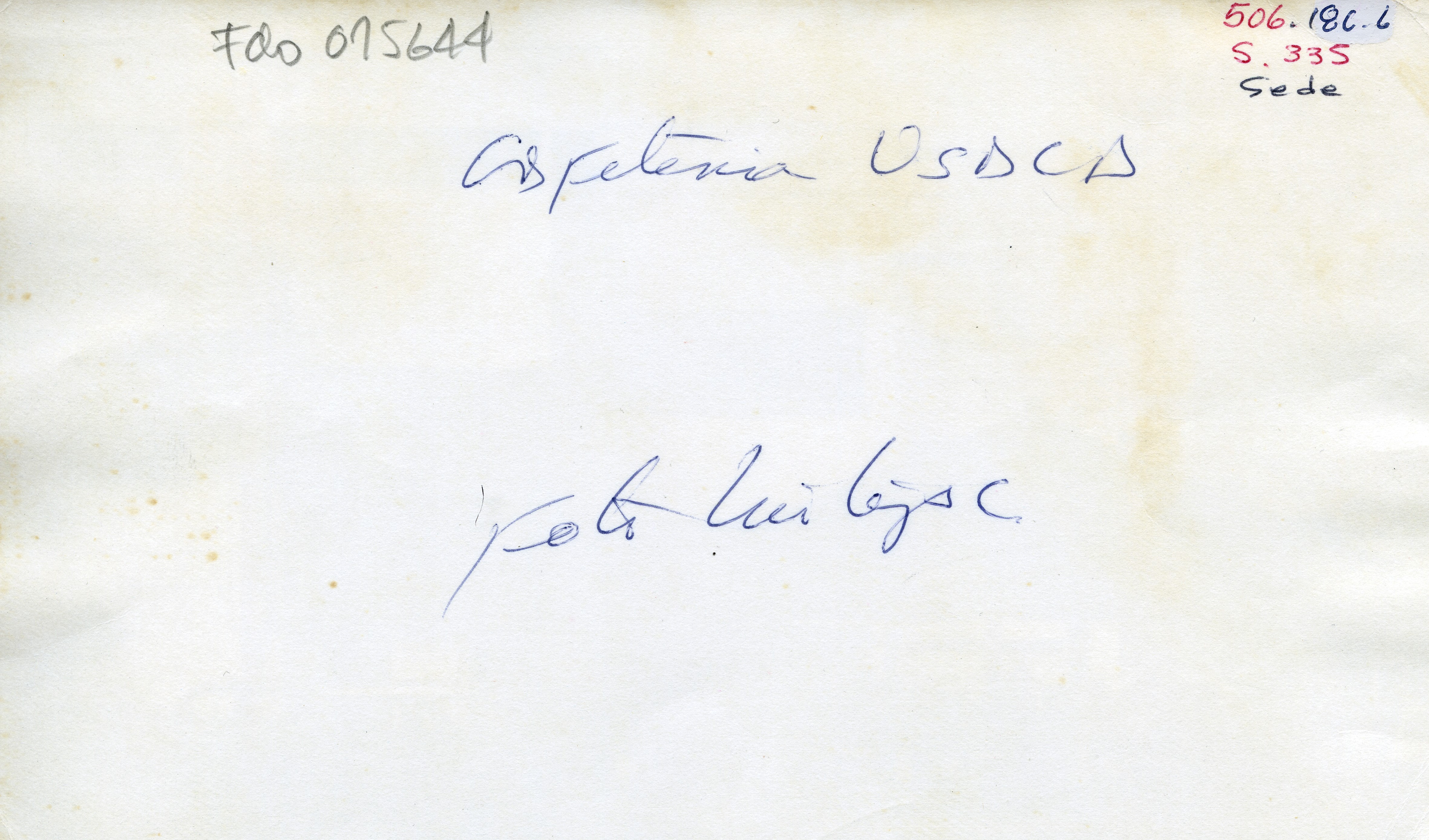 Fdo015644A.jpg