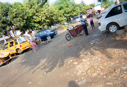 250-13.jpg