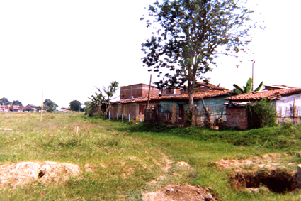 477-15.jpg