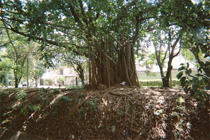 444-25.jpg