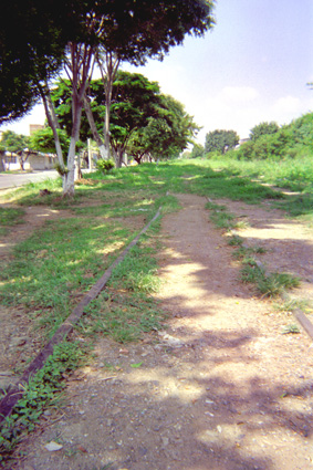 233-6.jpg
