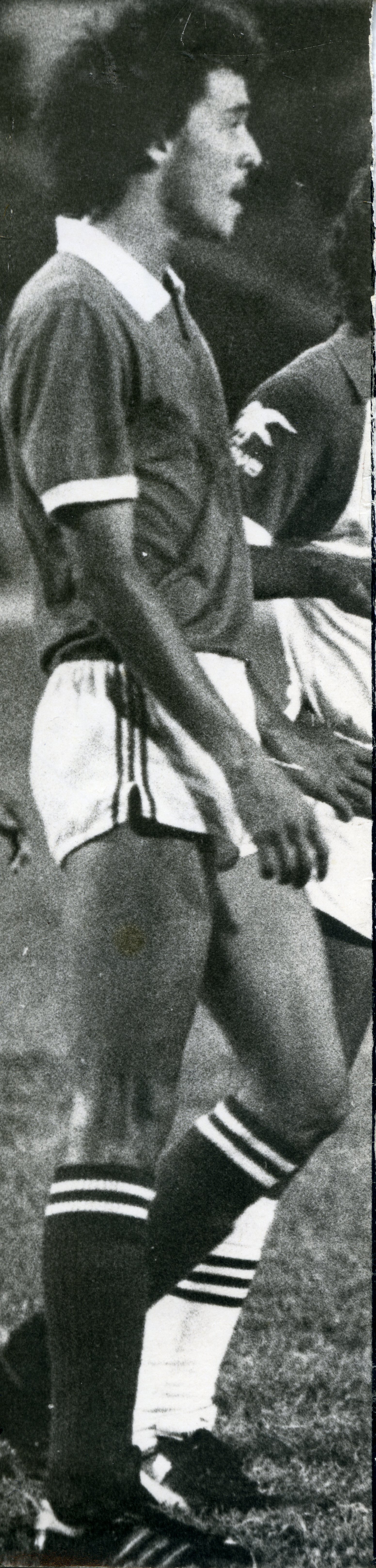 FDO018152.jpg
