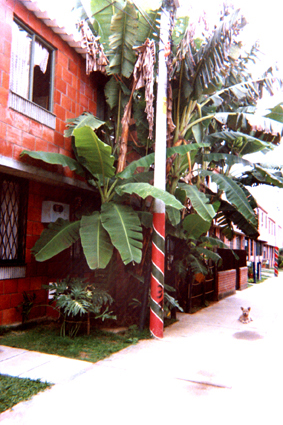 485-21.jpg