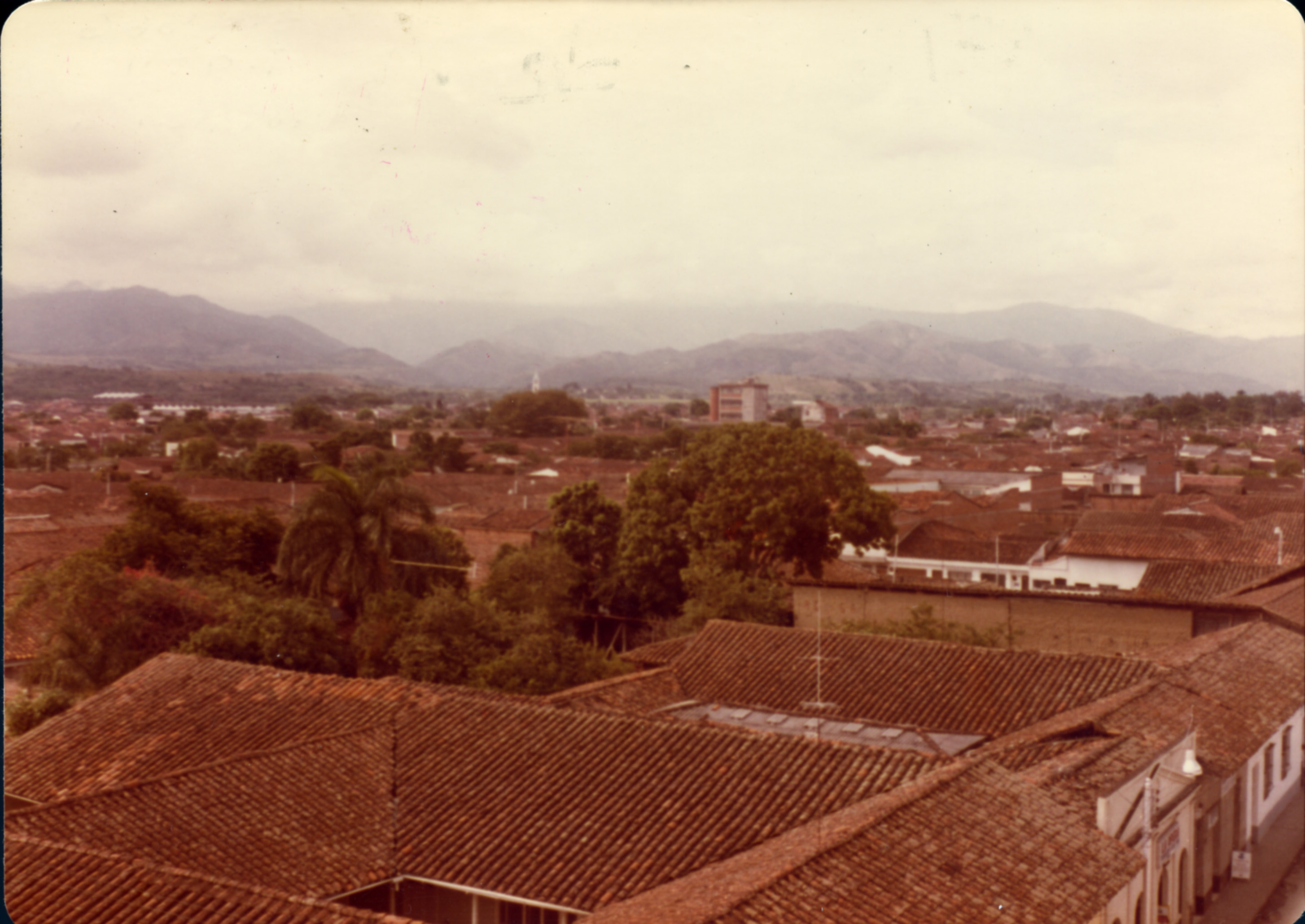 Fdo 011881.jpg