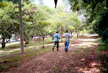 133-7.jpg