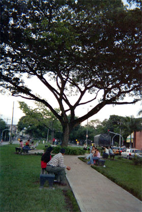080-12.jpg