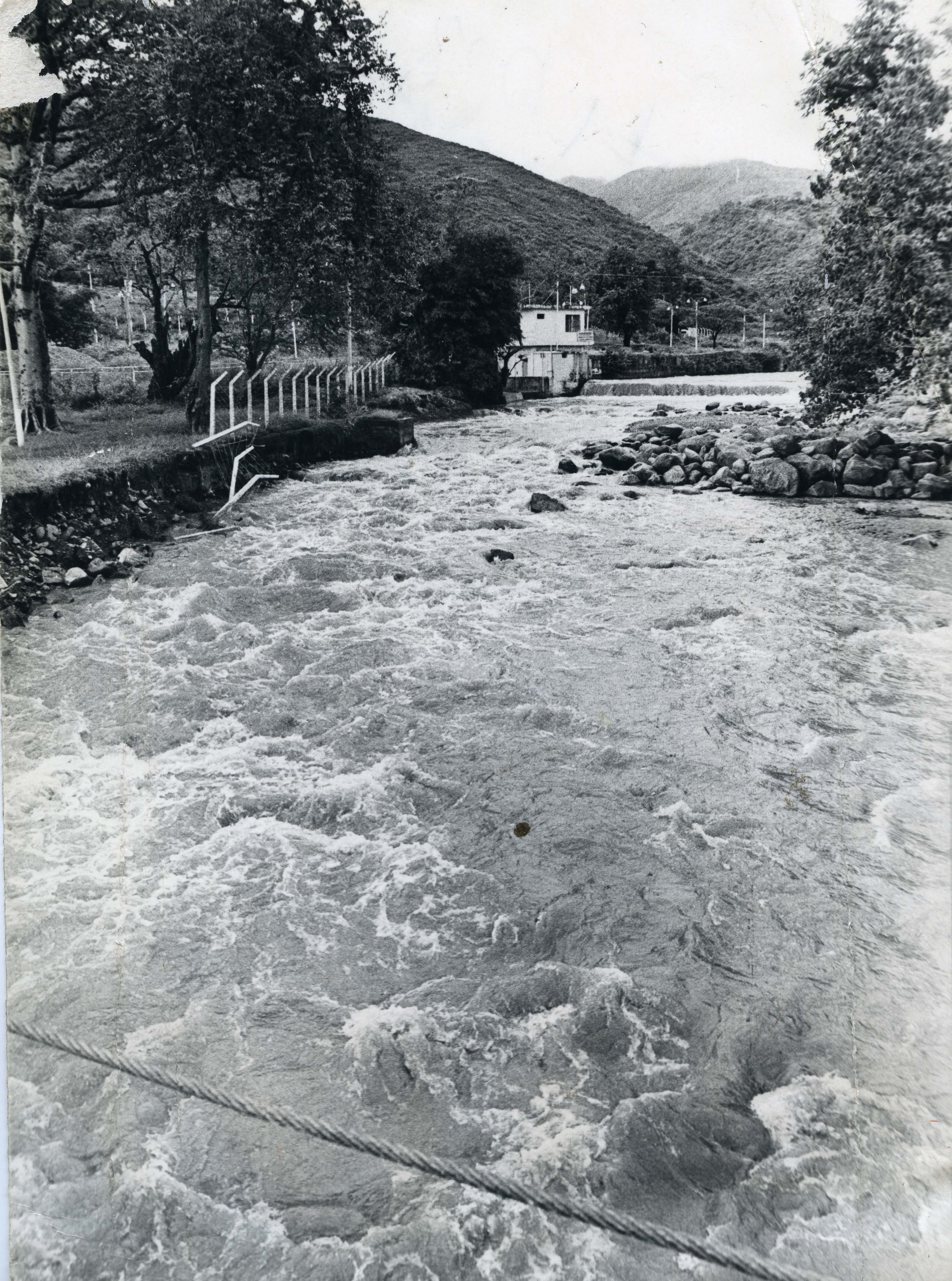 Fdo 0010717.jpg
