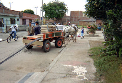 250-00.jpg
