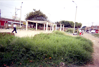 273-00.jpg