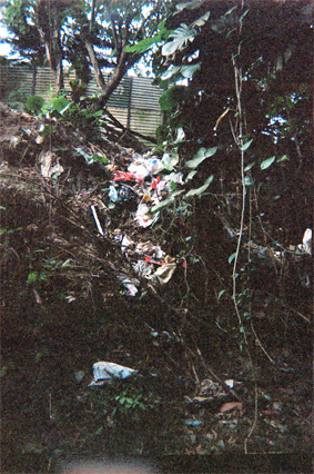 404-19.jpg