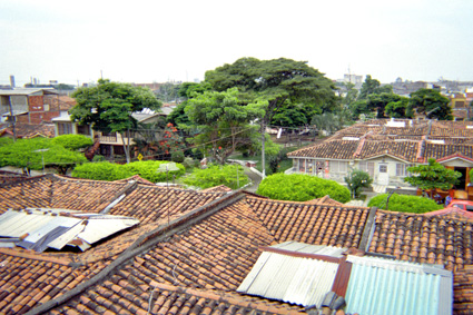 184-20.jpg