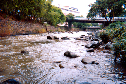 519-7.jpg