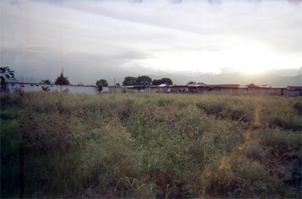 287-20.jpg