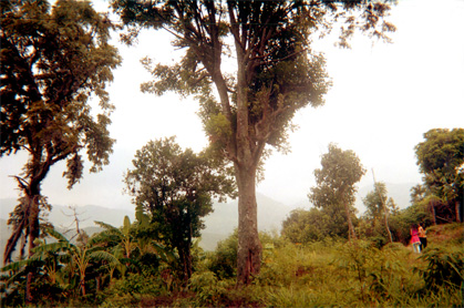 006-8.jpg