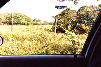 490-6.jpg