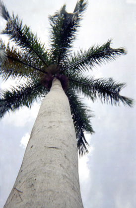 415-4.jpg
