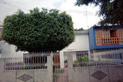 409-14.jpg